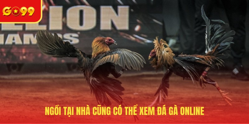 Ngồi tại nhà cũng có thể xem đá gà online